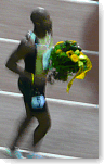 Image:Golden League: Memorial Van Damme